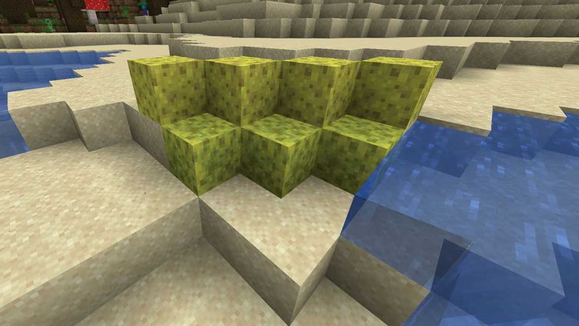 How to Get Sponges in Minecraft