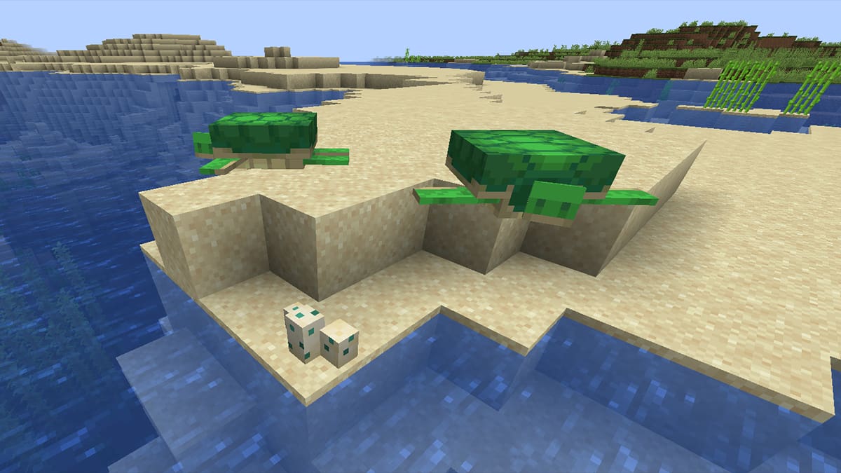 How To Hatch Turtle Eggs In Minecraft Prima Games