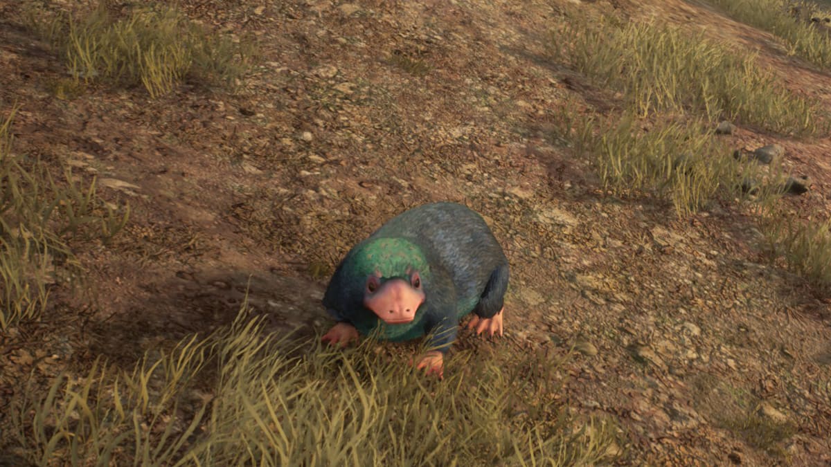 Hogwarts Legacy Cutest Magical Beasts, Ranked Prima Games