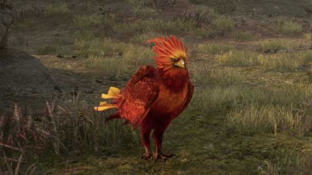 Phoenix Cute Rank Hogwarts Legacy