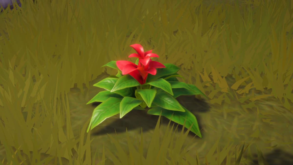 Where to Get Red Bromeliad in Disney Dreamlight Valley - Prima Games
