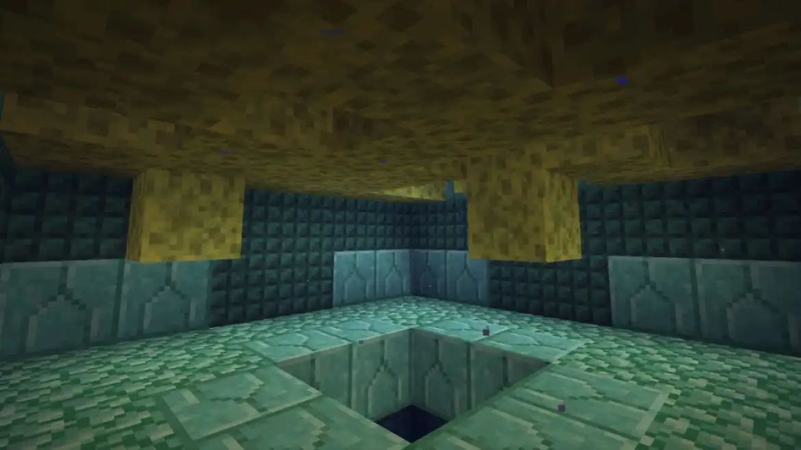 Sponge Room in Ocean Monument Minecraft