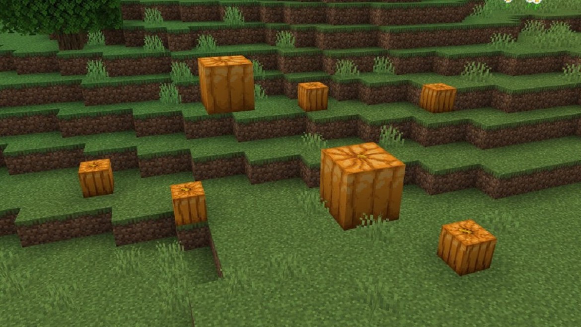 Where to Find Pumpkins in Minecraft (2023) - Prima Games