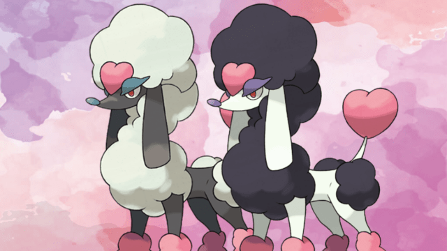 An image of Heart Trim Furfrou in both its normal and shiny coloration.