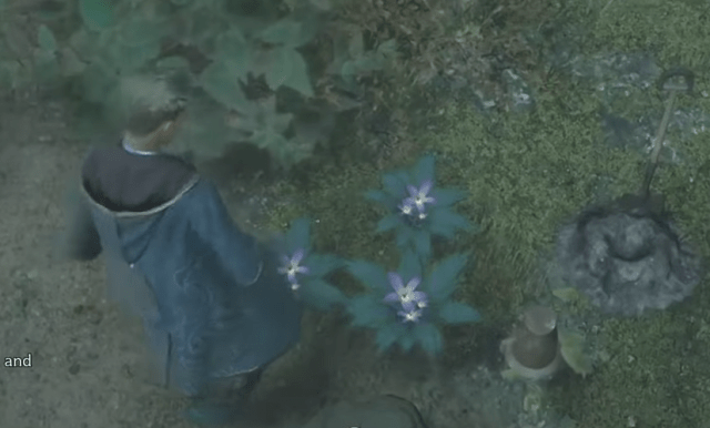 Where to find Mandrakes in Hogwarts Legacy or grow your own