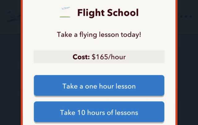 BitLife Flight School for Pilot License