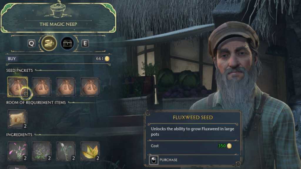 Hogwarts Legacy Fluxweed Seed Vendor