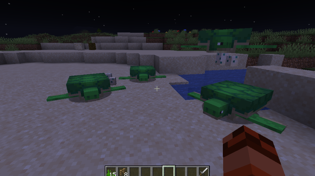 How Long Does it Take for Turtle Eggs to Hatch in Minecraft? - Answered ...