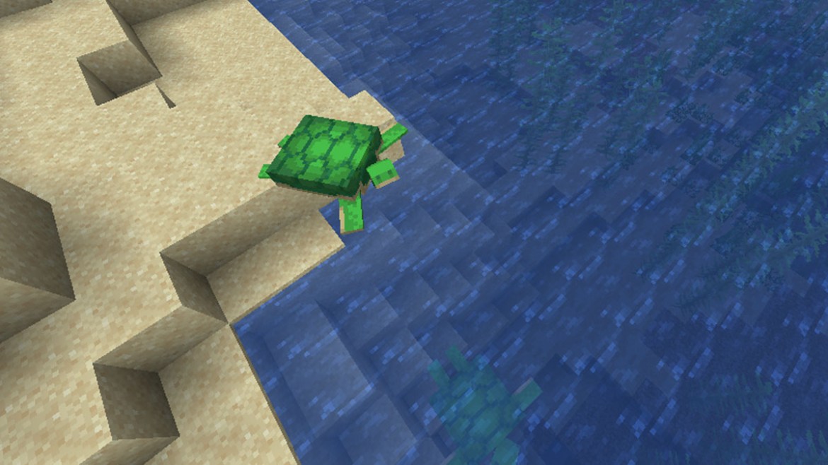 Minecraft Turtle Spawn