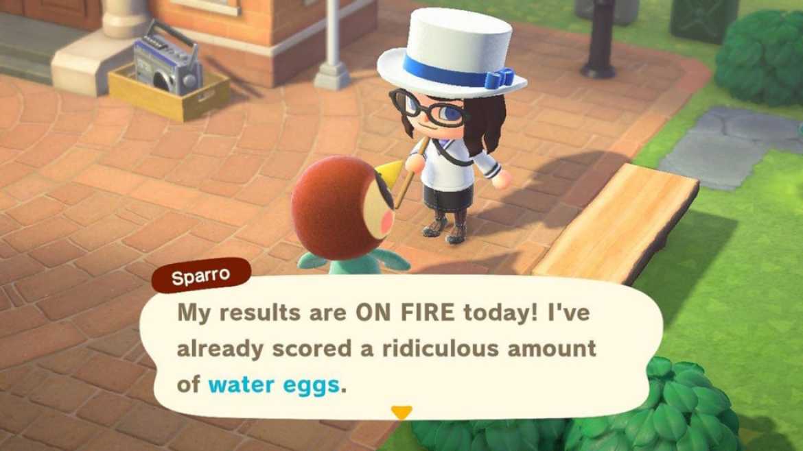 Water Egg Gift Animal Crossing
