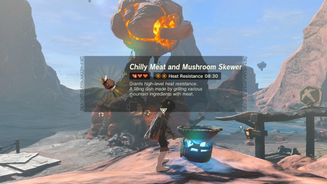 Link in TOTK cooking a chilly meat and mushroom skewer in a pot