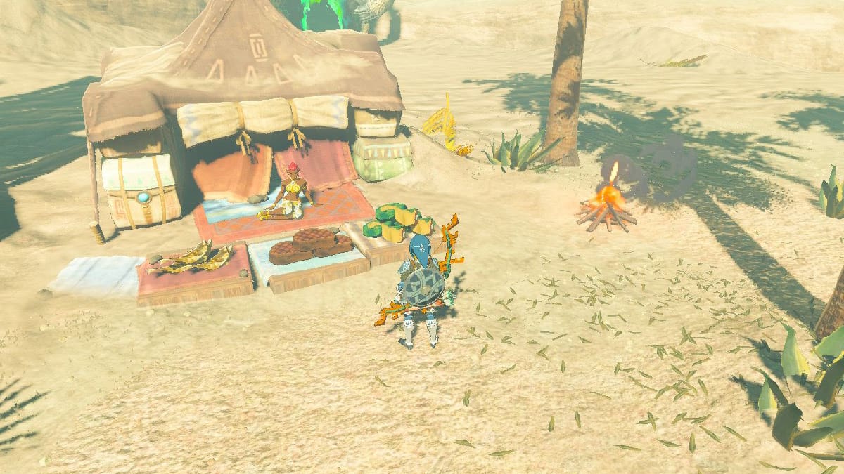 TOTK screenshot of link buying from a merchant at the southern oasis