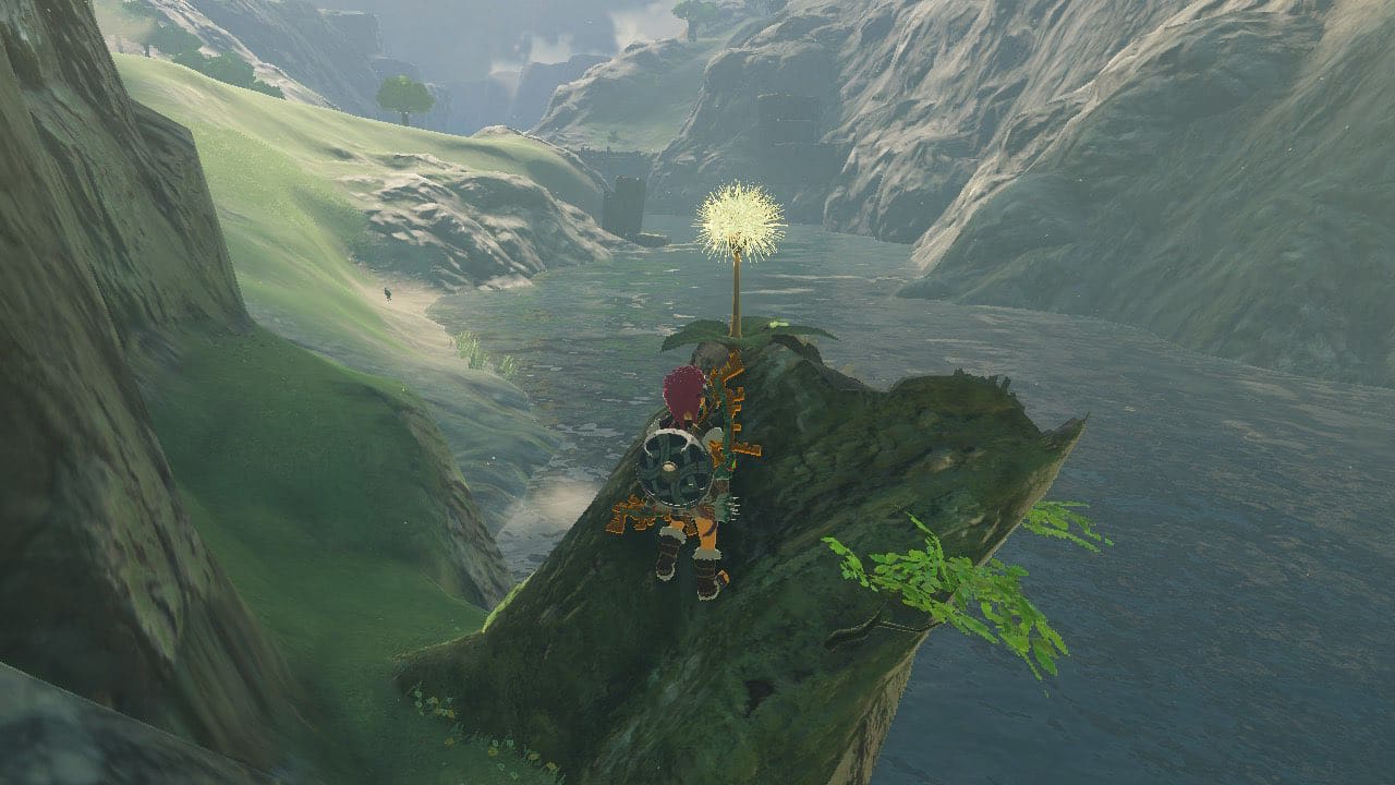 What Do Dandelions Do in Tears of the Kingdom (TOTK)? Answered