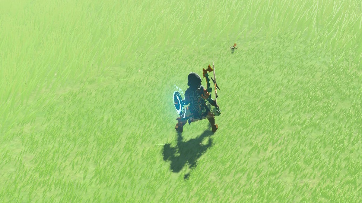 How to Get Restless Crickets in Tears of the Kingdom (TOTK) Prima Games