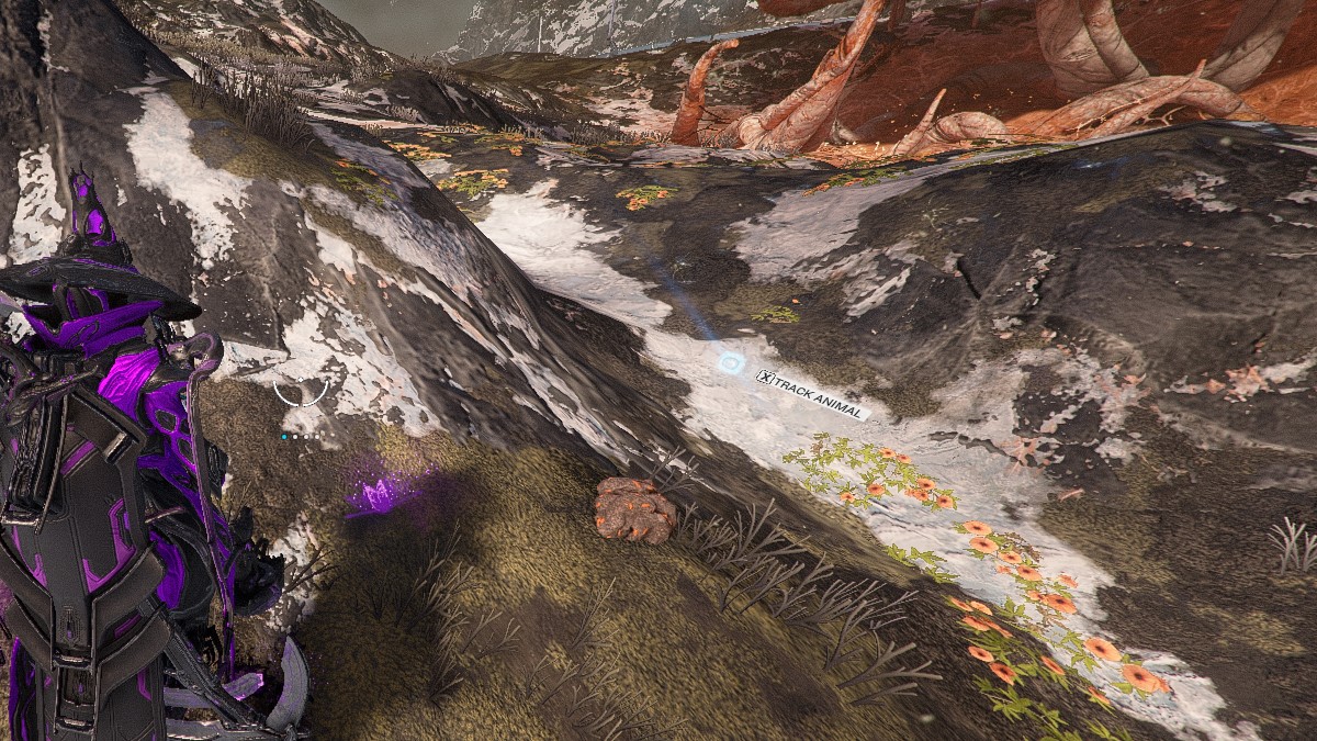 How to Get a Perfect Animal Capture in Warframe Prima Games