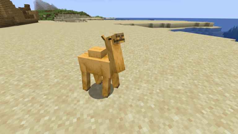 What do Camels Eat in Minecraft? - Answered - Prima Games