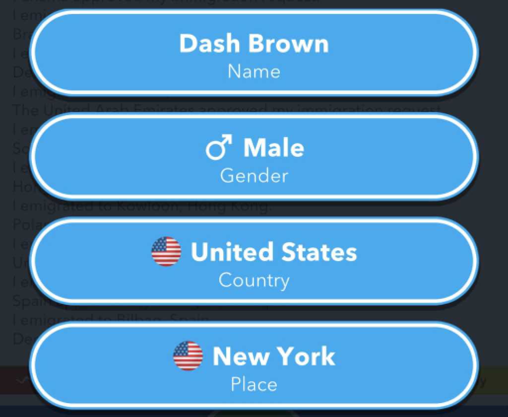 BitLife Male in United States New York