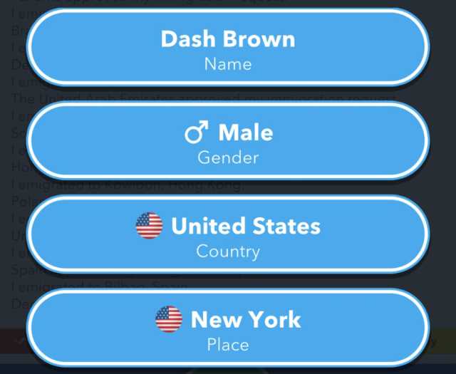 BitLife Male in United States New York