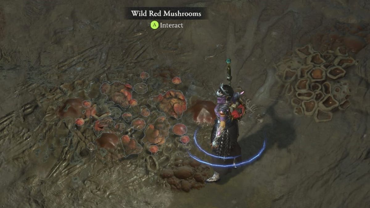 Diablo 4 Brought to Heel Quest