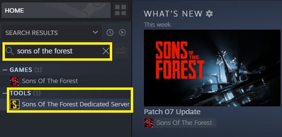 Sons of the Forest Server - Pockethost