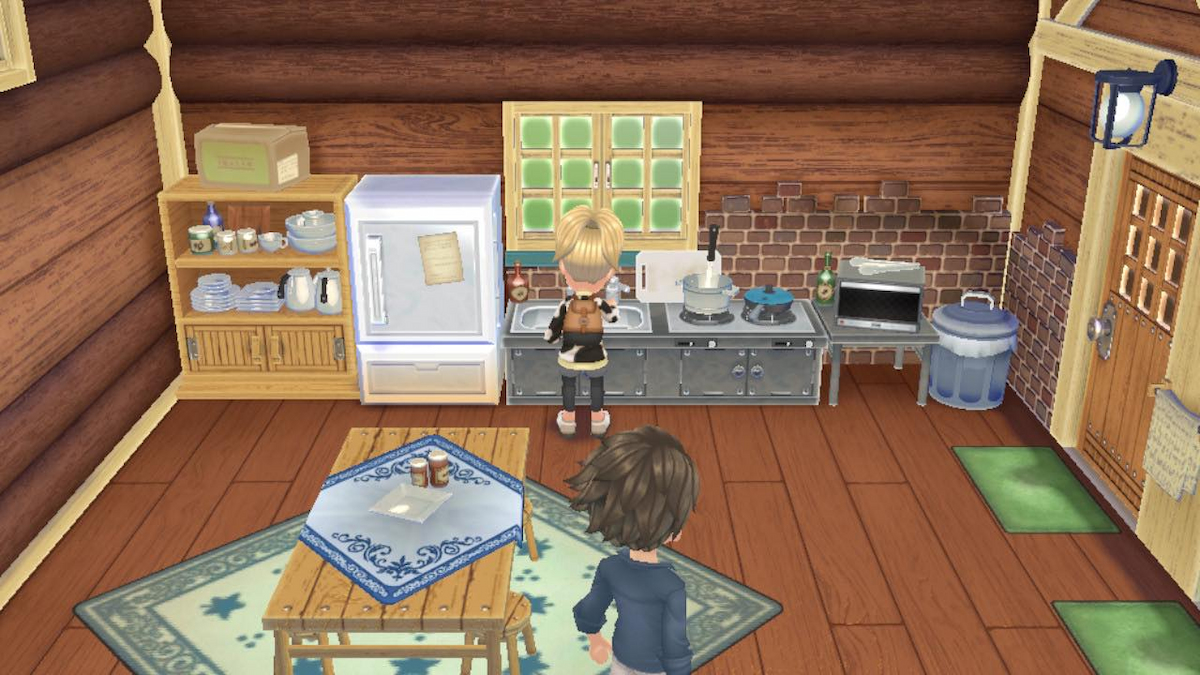 Story of Seasons A Wonderful Life Cooking