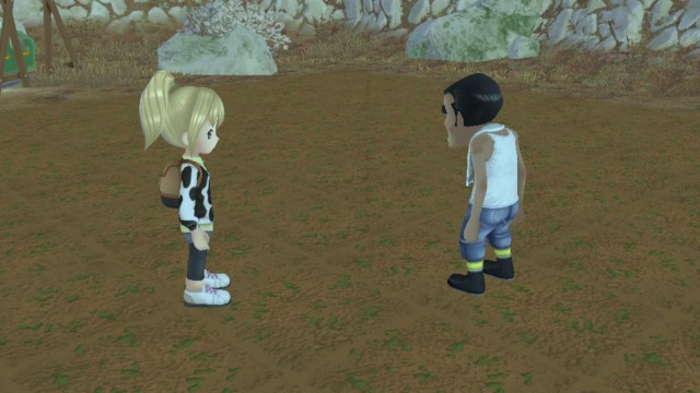 All Rare Hybrid Crops in Story of Seasons: A Wonderful Life Listed ...