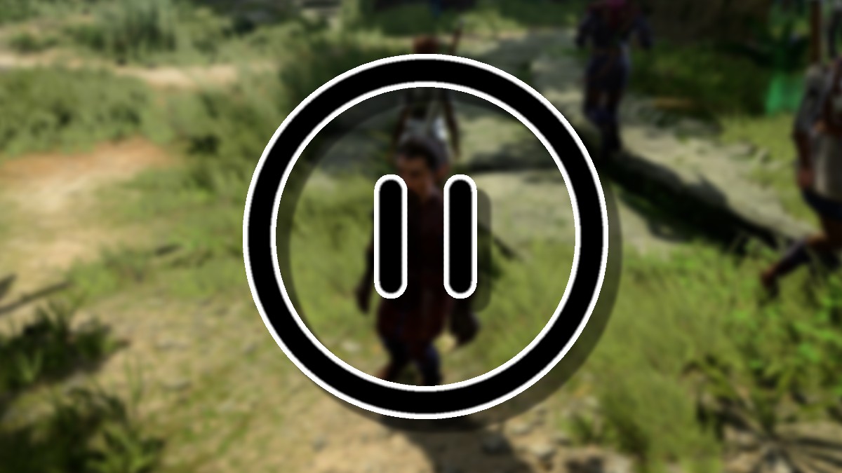 bg3 screenshot of an out of focus grassy area with a pause symbol overlaid