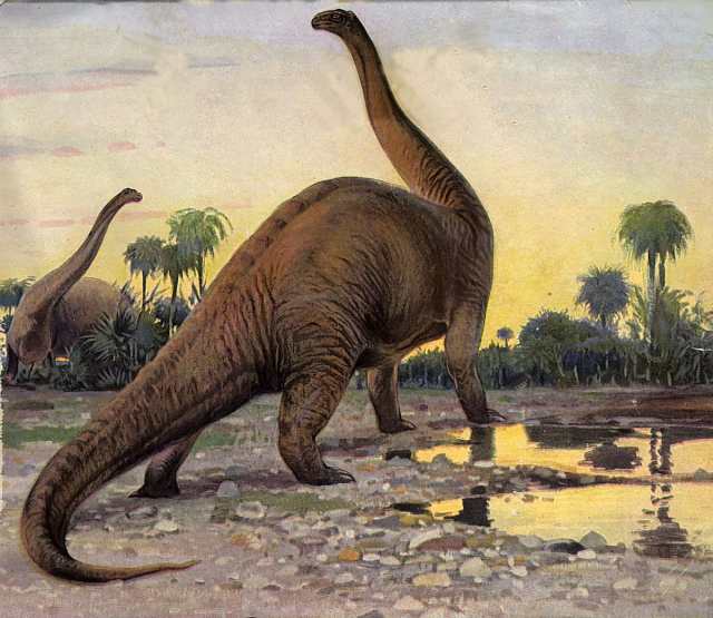 Raikou Paradox Form Predicted Brontosaurus