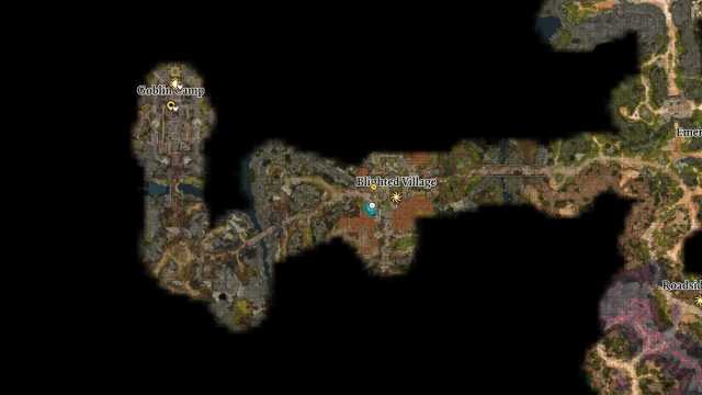 Baldur's Gate 3 Blighted Village Shovel Map