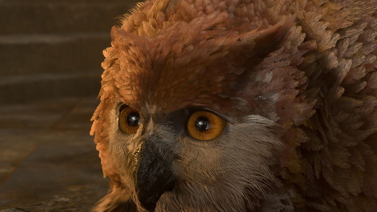 BG3 screenshot of the owlbear cub