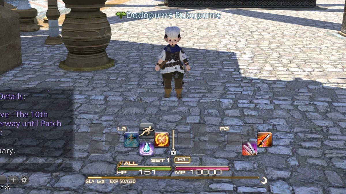 Final Fantasy Xi Skill Level – Ffxi Clopedia Skill Ups – MRDHN