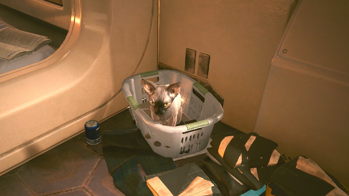 Can You Pet The Cat in Cyberpunk 2077 Version 2.0? Answered Prima Games