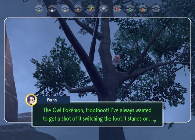 An example of a successful photograph of Hoothoot in Pokémon Scarlet and Violet: The Teal Mask subquest for Bloodmoon Ursaluna.