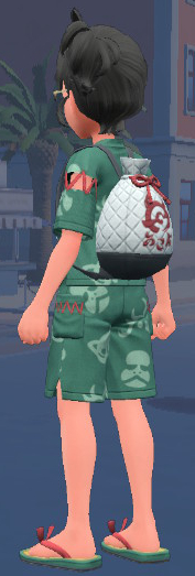 A screenshot of the default Festival Jinbei items from Pokémon Scarlet and Violet: The Teal Mask.
