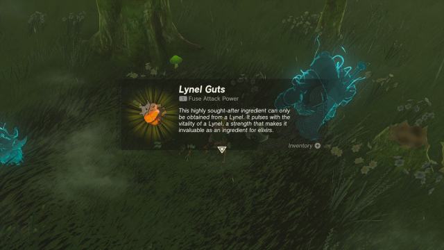 Lynel guts in Tears of the Kingdom