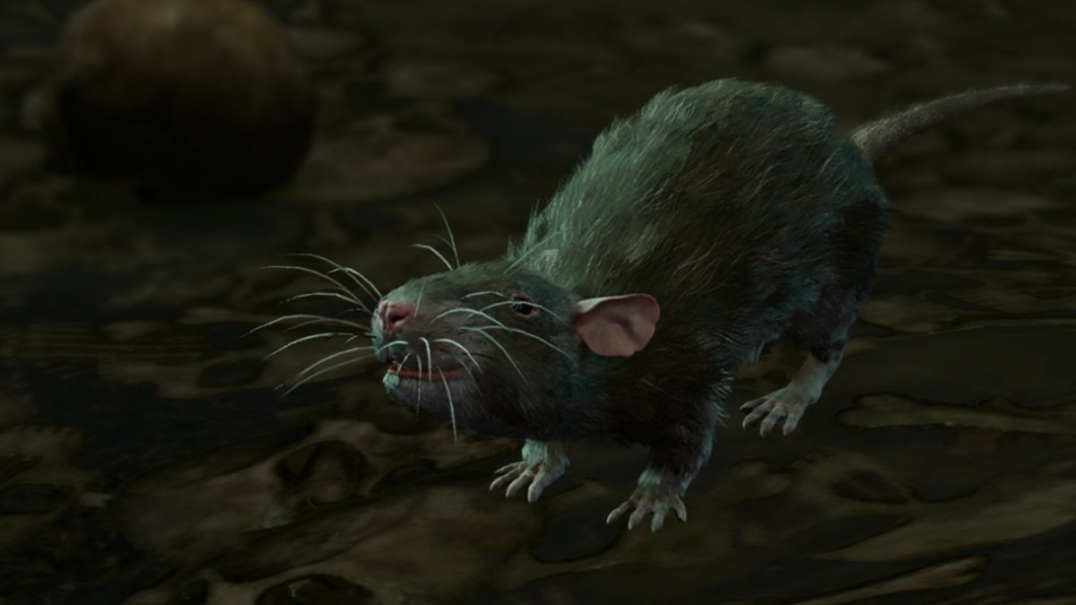 rat's treasure in BG3 rat
