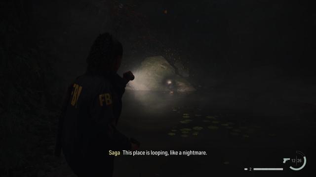 Rock in Alan Wake 2