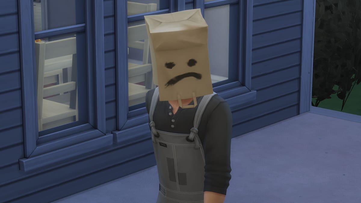Screenshot of Jeb Hariss' paper bag in The Sims 4