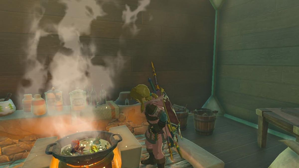 Link making food in Tears of the Kingdom
