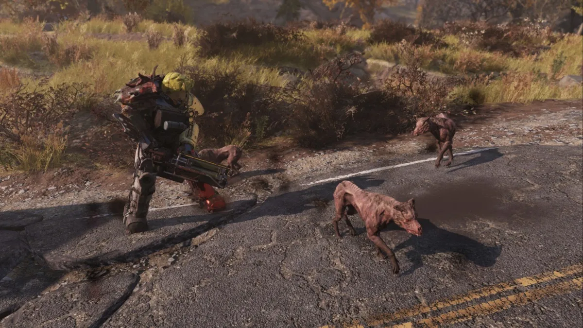 Fallout 76 Canines