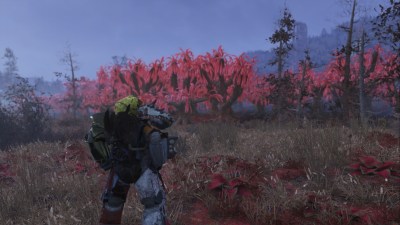 Fallout 76 Cranberry Bog