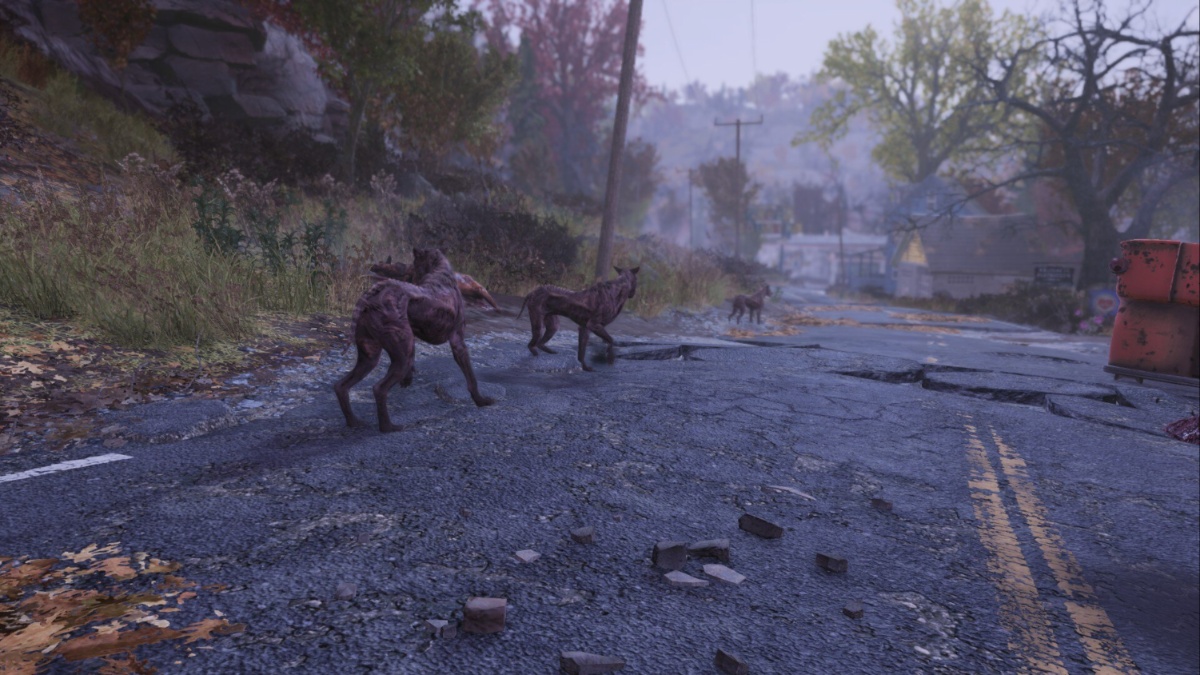 Where to Find Canines in Fallout 76 - Prima Games