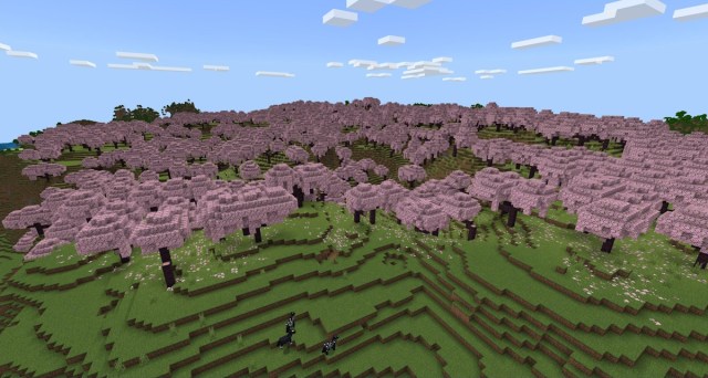 Cherry blossoms biome Minecraft