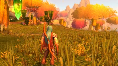 World of Warcraft Hunter Class