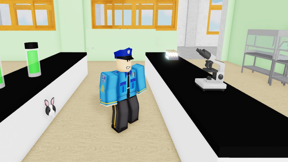 Hide and Seek Transform Codes Prima Games