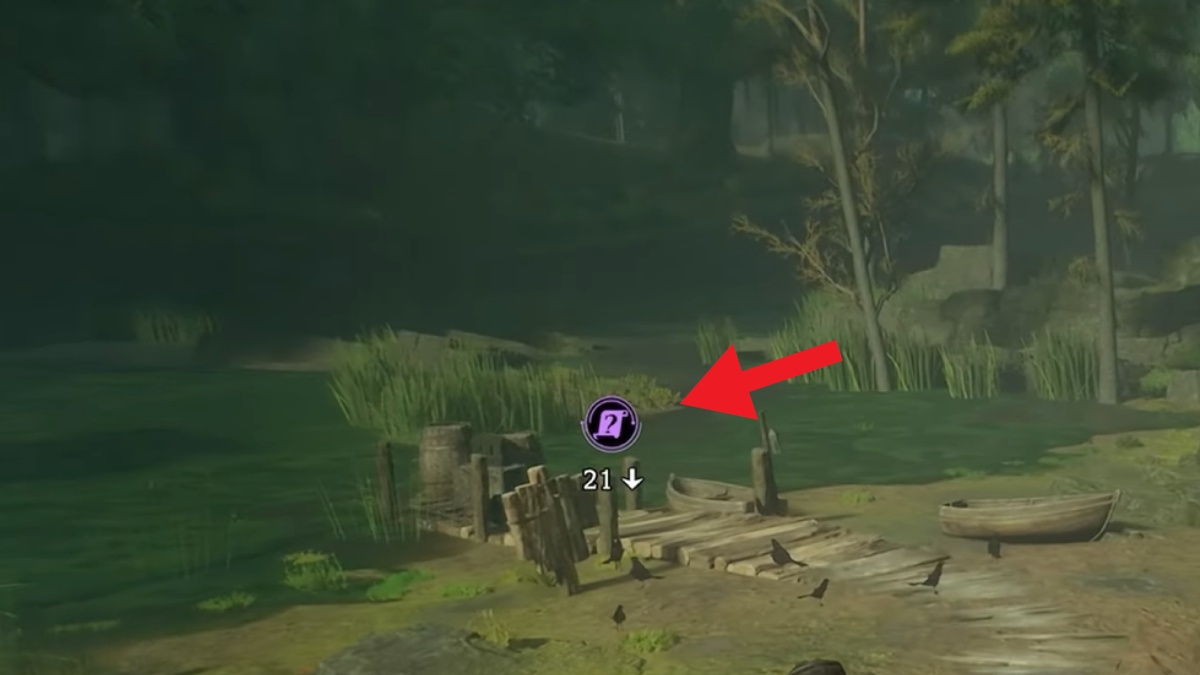 All 31 Highlands Field Guide Page Locations in Hogwarts Legacy Prima