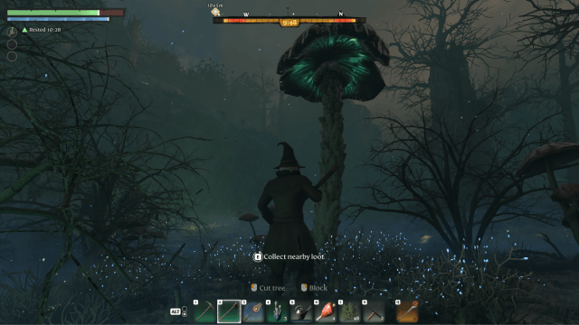 Shroud Mushroom stalk in Enshrouded
