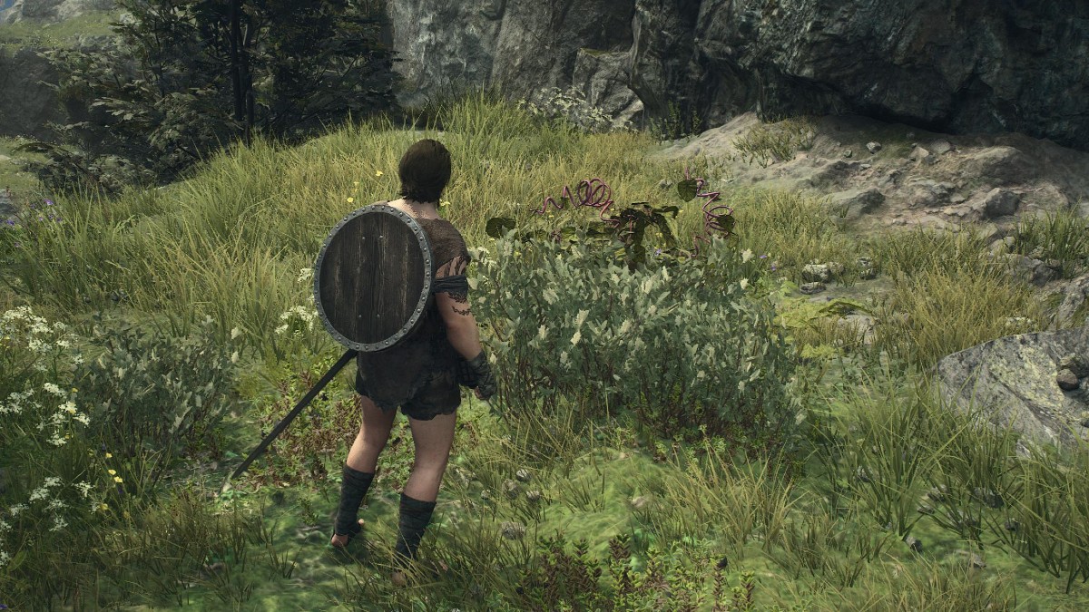 Salubrious Draught Dragon’s Dogma 2