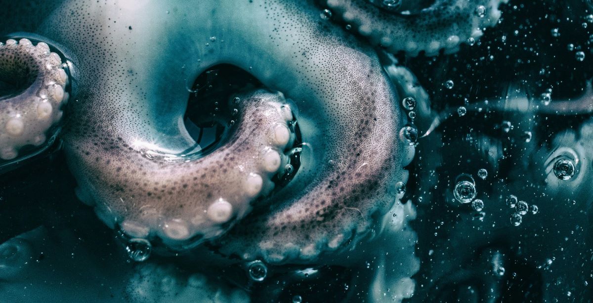 how-to-make-cthulhu-in-infinite-craft-prima-games