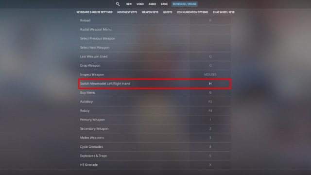 Screenshot of viewmodel switching keybind setting in CS2.